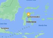 Harga Elpiji 3 Kg di Sorowako Melonjak hingga Rp60 Ribu, Pertamina Akan Telusuri