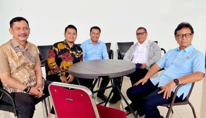Temui Menkes, Wabup Luwu Usulkan Pembangunan Rumah Sakit di Walmas