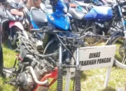 Pemkab Luwu Temukan Banyak Randis Tak Dikuasai Fisiknya